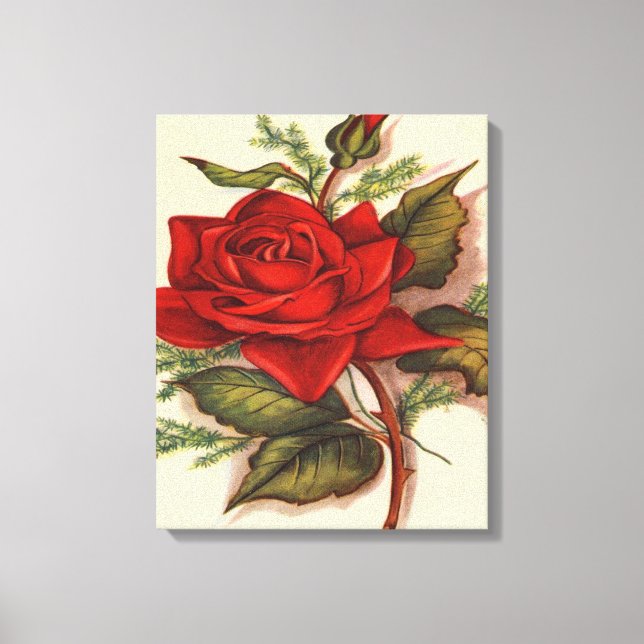 Rote Rose Premium Wrapped Canvas (Glanz) Leinwanddruck (Vorderseite)