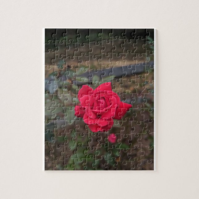 Rote Rose Puzzle (Vertikal)