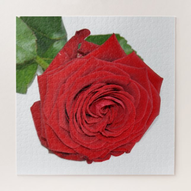 Rote Rose Puzzle (Horizontal)