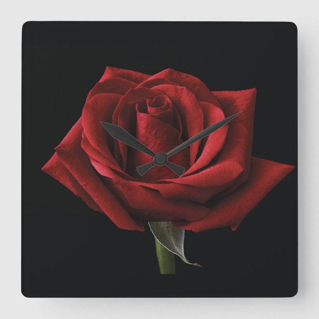 Rote Rose Quadratische Wanduhr (Vorderseite)