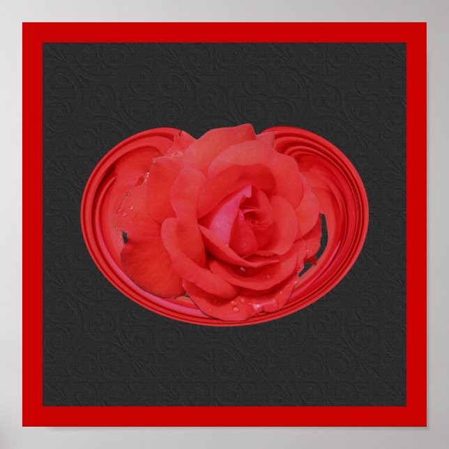 Rote Rose Raindrops Design Blumenplakat Poster (Vorne)