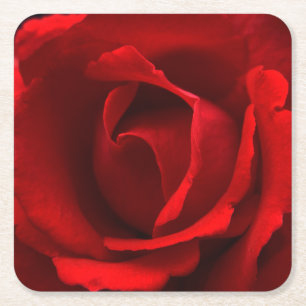 Rote Rose Rechteckiger Pappuntersetzer