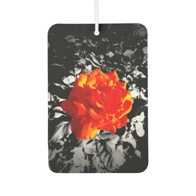 Rote Rose Rectangle Air Freshener Autolufterfrischer (Vorderseite)