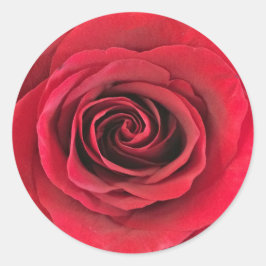 Rote Rose rund Shape Stickers