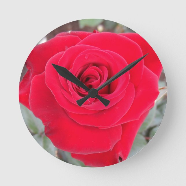 Rote Rose Runde Wanduhr (Vorderseite)
