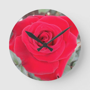 Rote Rose Runde Wanduhr