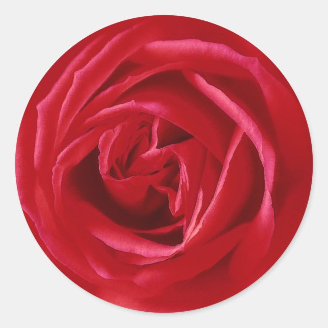Rote Rose Runder Aufkleber (Vorderseite)