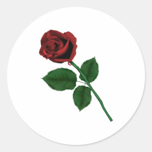 Rote Rose Runder Aufkleber