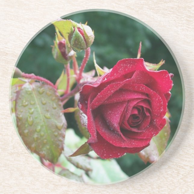 Rote Rose Sandstone Untersetzer (Vorne)