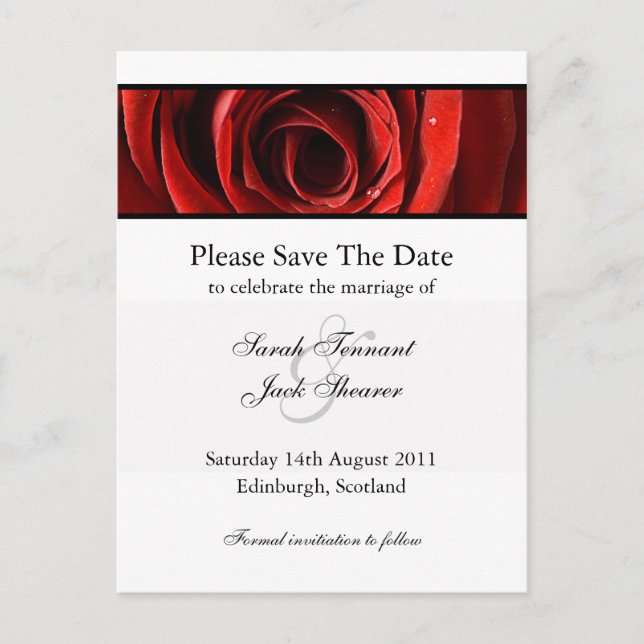 Rote Rose Save the Date Postkarte (Vorderseite)