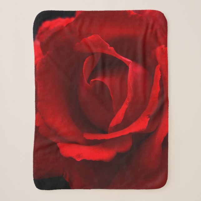 Rote Rose sbcna Sherpadecke (Vorderseite)