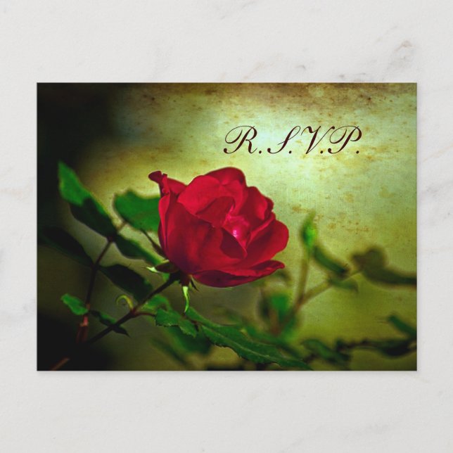 rote Rose Steampunk Einladungspostkarte (Vorderseite)
