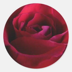 Rote Rose Stickers Pink Rote Rose Geschenke Keepak