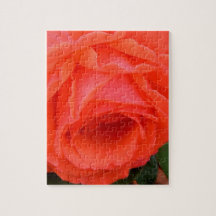Rote Rose-Stifte - 8x10 - 110 Stück