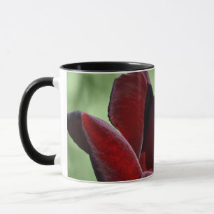 Rote Rose Tasse