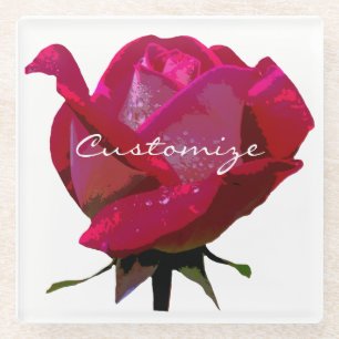 rote Rose Thunder_Cove Glasuntersetzer