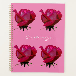 rote Rose Thunder_Cove Planer