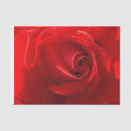 Rote Rose Tissue Paper Seidenpapier