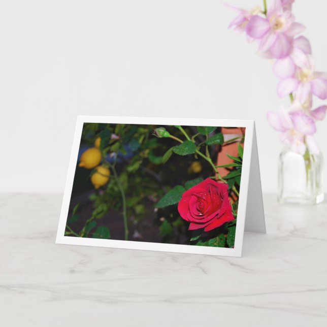 Rote Rose und Limonen Karte (Orchidee)