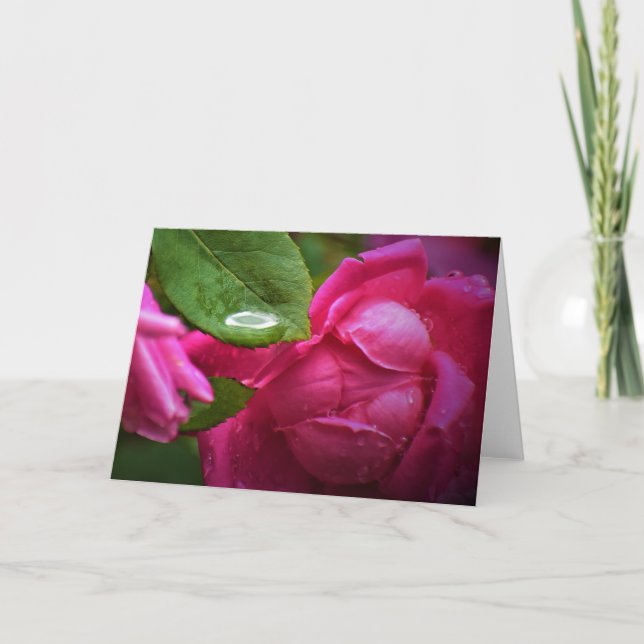 Rote Rose und Seile, Karte (Vorderseite)