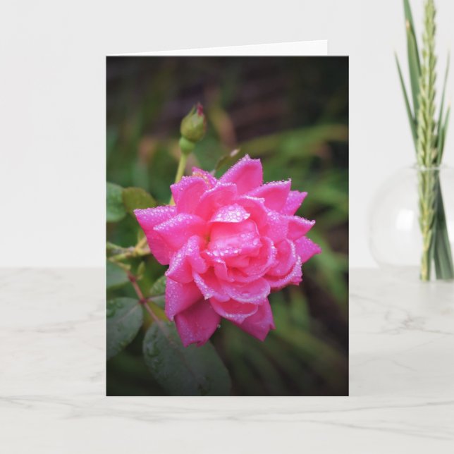 Rote Rose und Seile, Karte (Vorderseite)