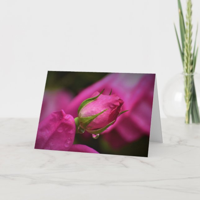 Rote Rose und Seile, Karte (Vorderseite)