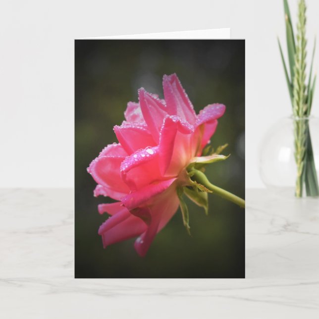 Rote Rose und Seile, Karte (Vorderseite)