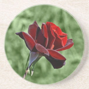 Rote Rose Untersetzer
