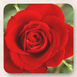 Rote Rose Untersetzer Set