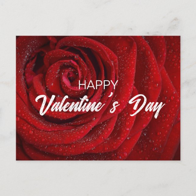 Rote Rose, Valentine Postkarte (Vorderseite)