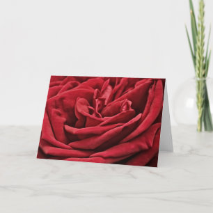 Rote Rose Velvet Petals Blume Art Karte