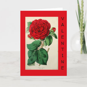 Rote Rose Vintage-Kunst Blumen Elegantes Valentins Feiertagskarte