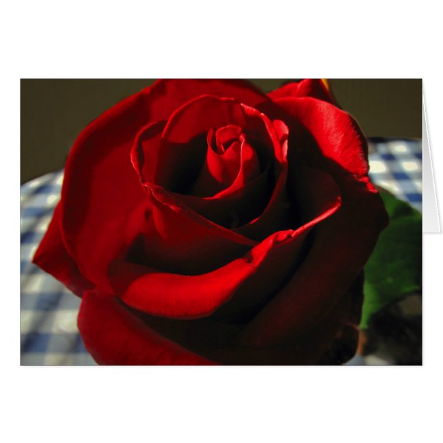 Rote Rose von Mamas (Vorderseite (Horizontal))