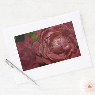 Rote Rose von Shirley Taylor Rechteckiger Aufkleber