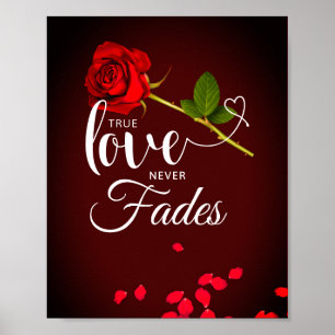 Rote Rose Wahre Liebe Fades Poster