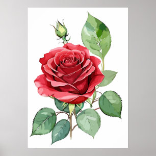 Rote Rose Wasserfarbe Moderne Kunst Poster