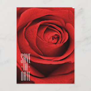 Rote Rose Weiß (Jede Farbe) Glam Save the Date Ankündigungspostkarte