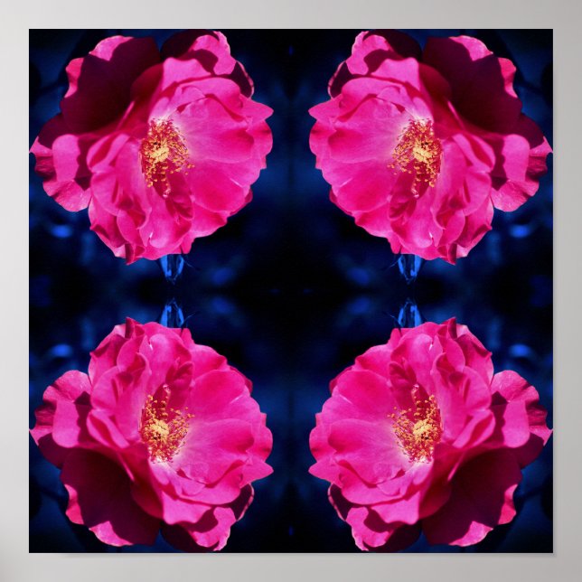 Rote Rose zur Abstrakten Blume von Blue Tint Poster (Vorne)