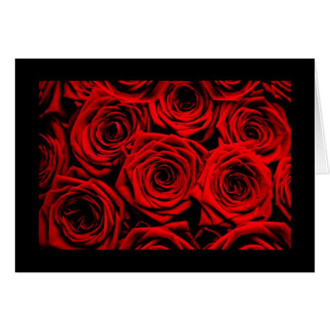 Rote Rosen (Vorderseite (Horizontal))