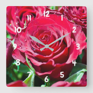 Rote Rosen Akrylsäulen Quadratische Wanduhr