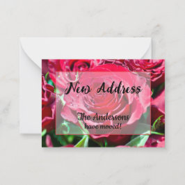 Rote Rosen - Ankündigung neuer Adressen