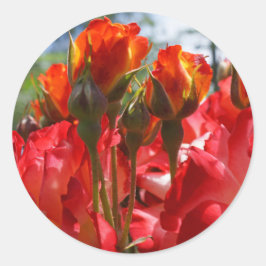 Rote Rosen Aufkleber für benutzerdefinierte Umschl