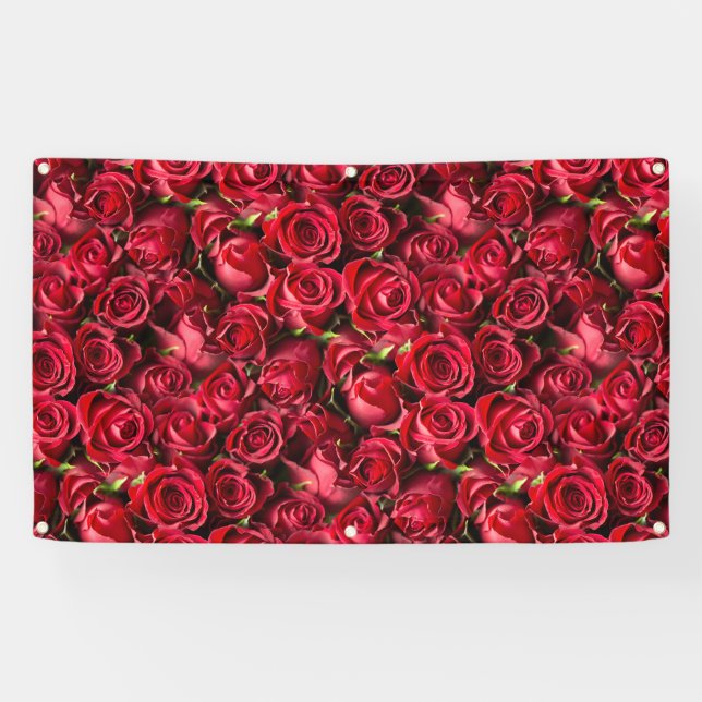 Rote Rosen Banner (Horizontal)