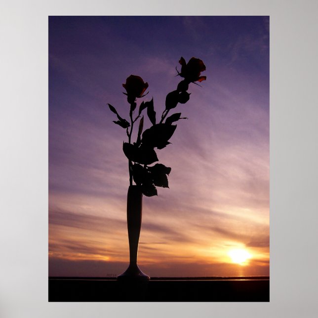 Rote Rosen bei Sonnenuntergang Poster (Vorne)