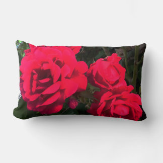 Rote Rosen blühen Lendenkissen