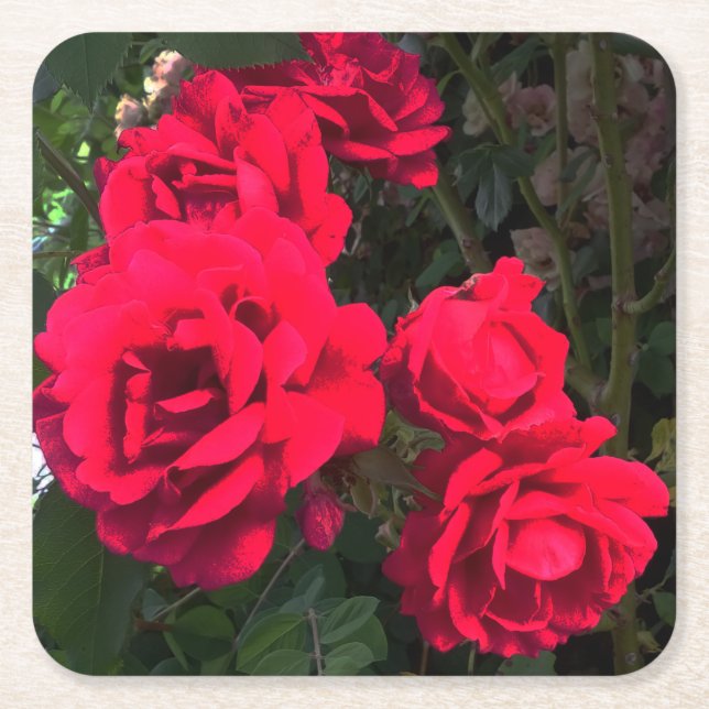 Rote Rosen blühen Rechteckiger Pappuntersetzer (Vorderseite)