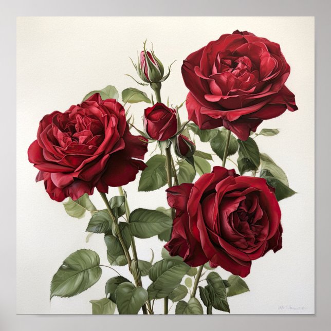 Rote Rosen Blume Art Print Poster (Vorne)