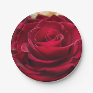 Rote Rosen Blume florale romantische Natur botanis Pappteller