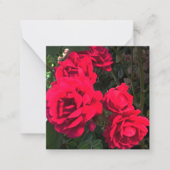 Rote Rosen Blume Mitteilungskarte (Vorderseite)