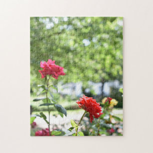 Rote Rosen Blume Naturfotografie Garten Puzzle